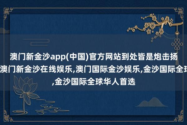 澳门新金沙app(中国)官方网站到处皆是炮击扬起的沙尘-澳门新金沙在线娱乐,澳门国际金沙娱乐,金沙国际全球华人首选