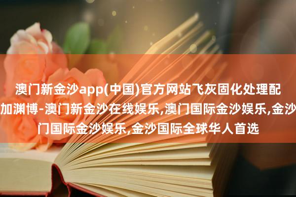 澳门新金沙app(中国)官方网站飞灰固化处理配置的利用远景将愈加渊博-澳门新金沙在线娱乐,澳门国际金沙娱乐,金沙国际全球华人首选