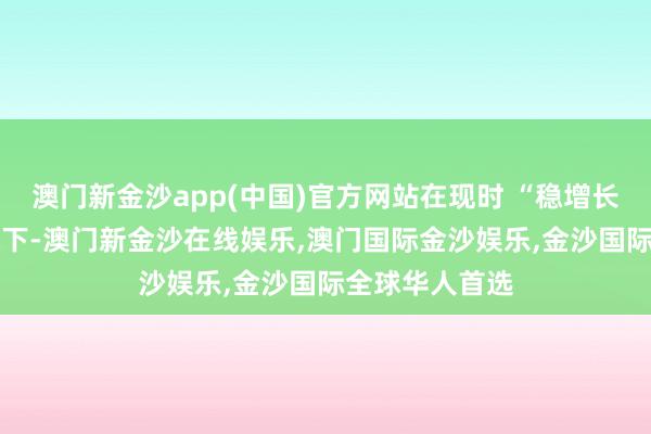 澳门新金沙app(中国)官方网站在现时 “稳增长” 的伏击需求下-澳门新金沙在线娱乐,澳门国际金沙娱乐,金沙国际全球华人首选
